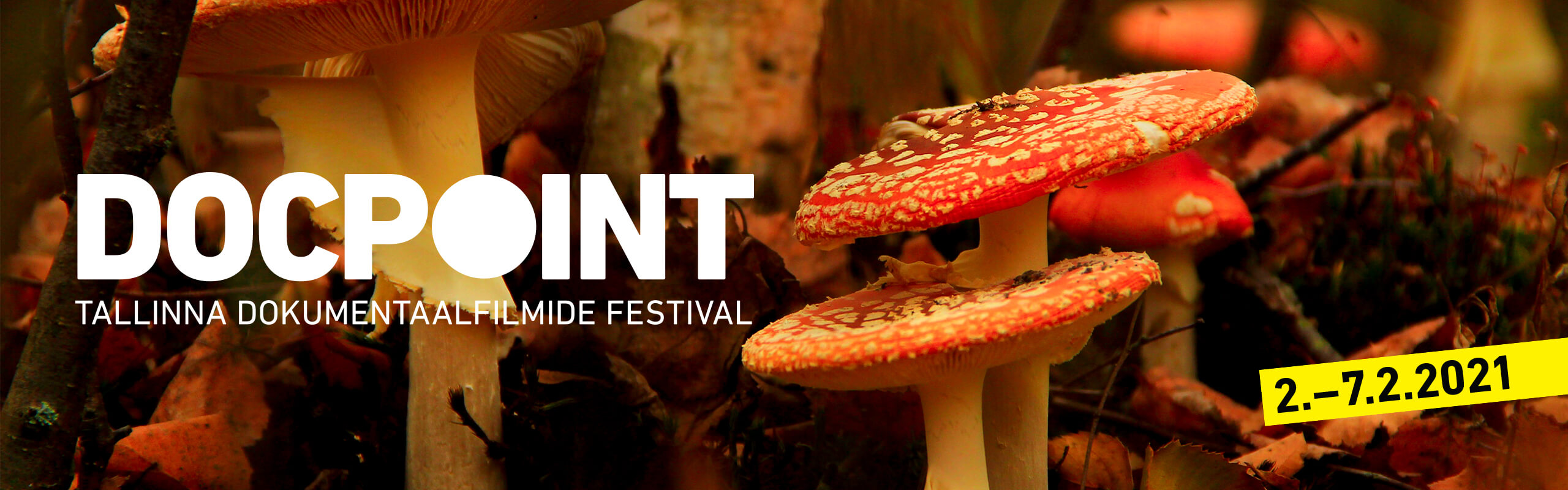 Docpoint Tallinn 2020 | 29.1-02.02.2020 – Rahvusvaheline ...